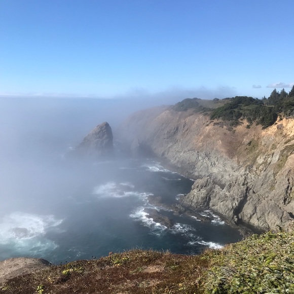 Meet your Posher, Mitch - Picture 1 of 1